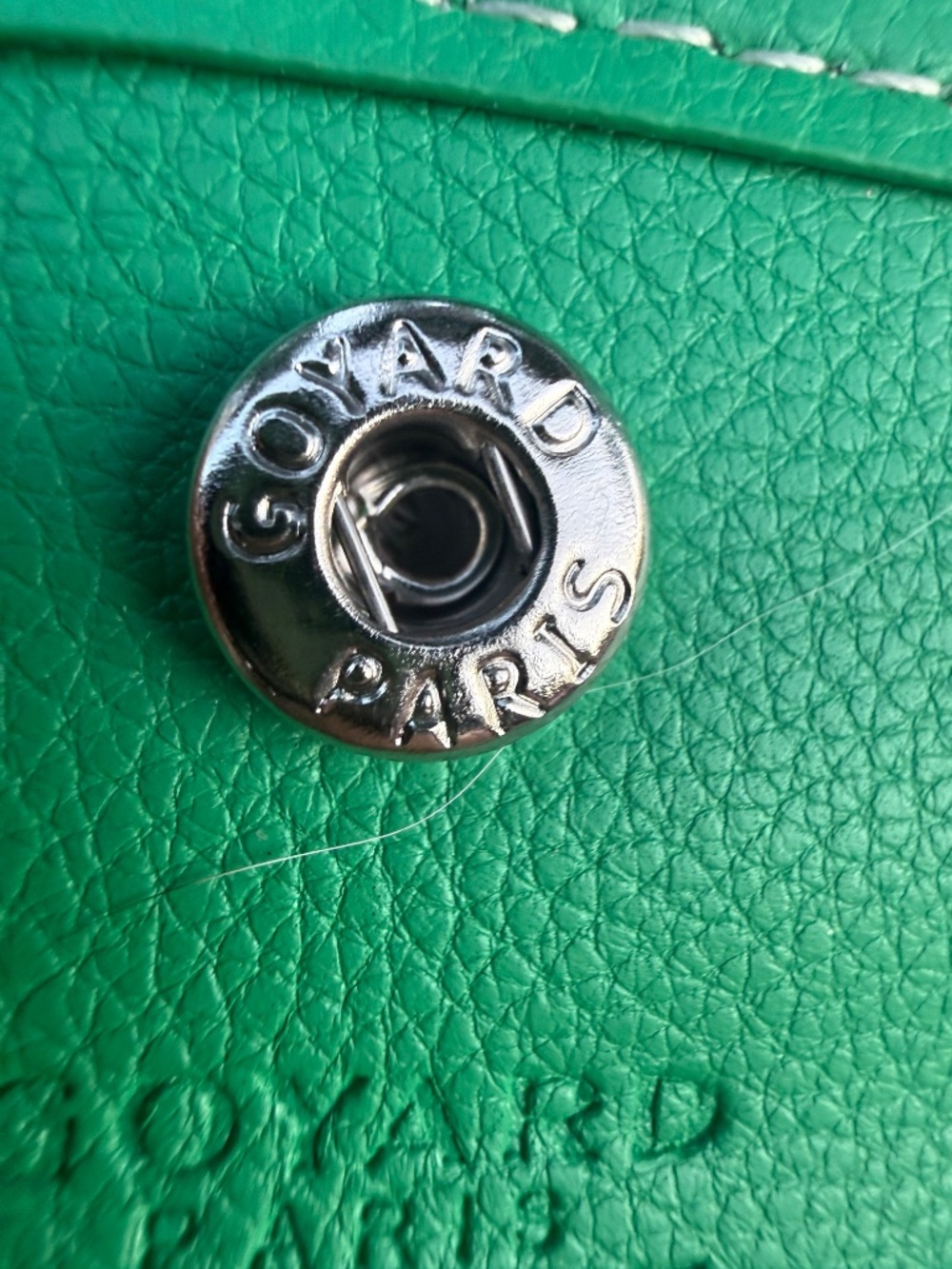 Goyard Meadow Green Boheme PM Hobo Bag - Read Description - Picture 10 of 13